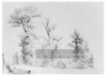  bäume - Drei Bäume Hoboken Asher Brown Durand